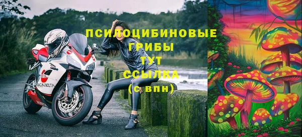 mdpv Алзамай