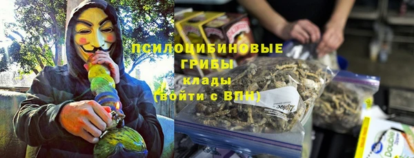 молекула духа Алексеевка