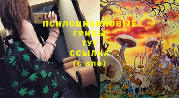 mdpv Алзамай
