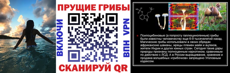 Галлюциногенные грибы Cubensis  Сельцо 